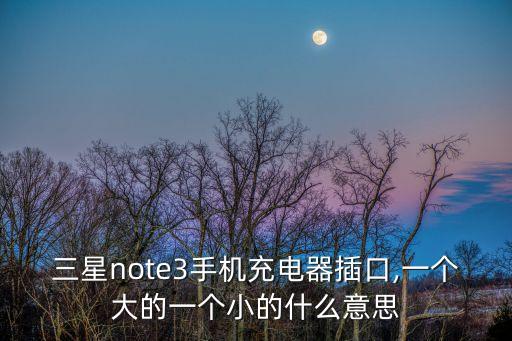 數(shù)據(jù)線接口小了,蘋果數(shù)據(jù)線是什么接口
