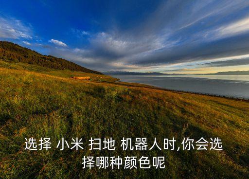 選擇 小米 掃地 機(jī)器人時,你會選擇哪種顏色呢