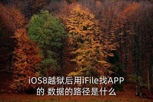 iOS8越獄后用iFile找APP的 數(shù)據(jù)的路徑是什么