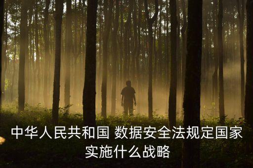 中華人民共和國 數(shù)據(jù)安全法規(guī)定國家 實施什么戰(zhàn)略