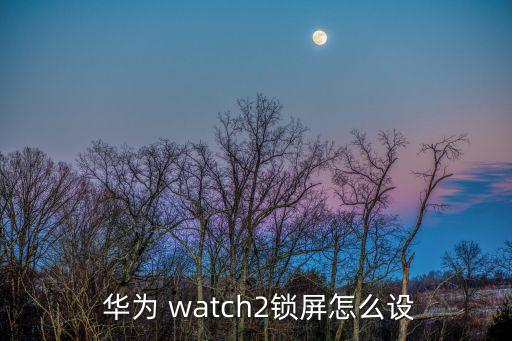  華為 watch2鎖屏怎么設(shè)
