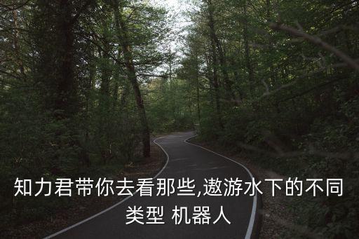 深海機(jī)器人發(fā)展趨勢(shì),醫(yī)療機(jī)器人的現(xiàn)狀和發(fā)展趨勢(shì)