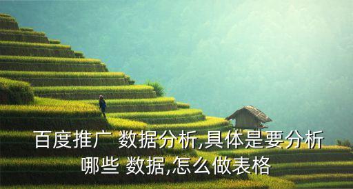 百度知道使用情況數(shù)據(jù)