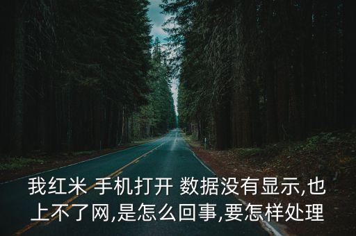 我紅米 手機打開 數(shù)據(jù)沒有顯示,也上不了網(wǎng),是怎么回事,要怎樣處理