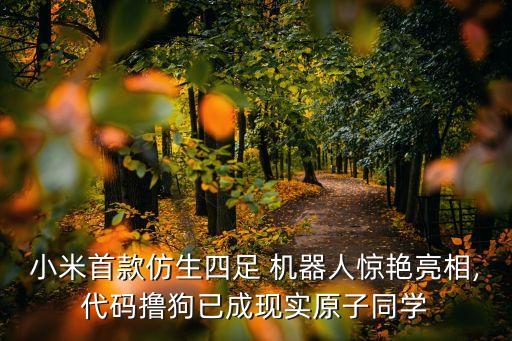 最仿真的人形機(jī)器人,中國人形機(jī)器人上市公司