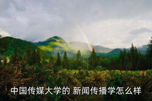 數(shù)據(jù)新聞中傳,中傳新聞學(xué)院院長(zhǎng)