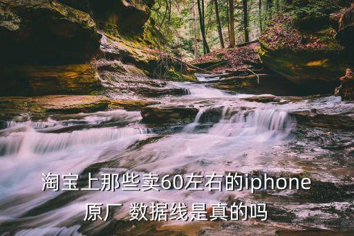 網(wǎng)上賣的蘋果數(shù)據(jù)線有用嗎,蘋果數(shù)據(jù)線只有一邊有用