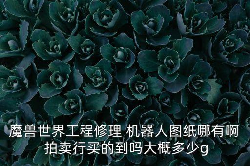 魔獸世界工程修理 機(jī)器人圖紙哪有啊 拍賣行買的到嗎大概多少g