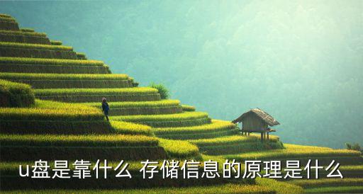 數(shù)據(jù)的存儲(chǔ)問(wèn)題是通過(guò)