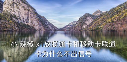 小 辣椒 x1放聯(lián)通卡和移動(dòng)卡聯(lián)通卡為什么不出信號(hào)
