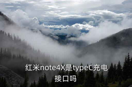 紅米note4x數(shù)據(jù)線幾安