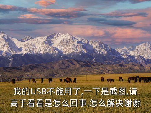 我的USB不能用了,一下是截圖,請(qǐng)高手看看是怎么回事,怎么解決謝謝