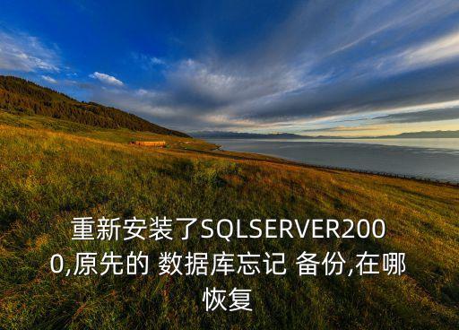 重新安裝了SQLSERVER2000,原先的 數(shù)據(jù)庫(kù)忘記 備份,在哪恢復(fù)