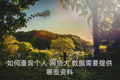 如何查詢個人 網貸大 數(shù)據(jù)需要提供哪些資料