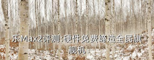 樂Max2評測:硬件免費締造全民旗艦機