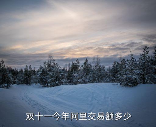  雙十一今年阿里交易額多少
