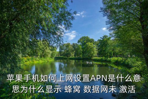 蘋(píng)果手機(jī)如何上網(wǎng)設(shè)置APN是什么意思為什么顯示 蜂窩 數(shù)據(jù)網(wǎng)未 激活