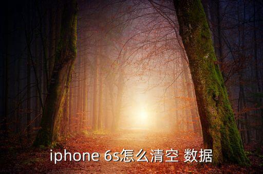 iphone 6s怎么清空 數(shù)據(jù)