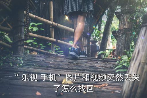“ 樂視 手機(jī)”圖片和視頻突然丟失了怎么找回