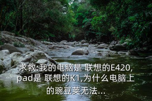 求救:我的電腦是 聯(lián)想的E420,pad是 聯(lián)想的K1,為什么電腦上的豌豆莢無法...
