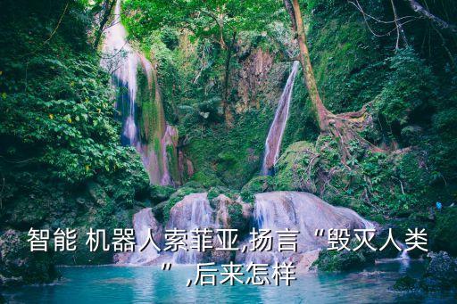 智能 機(jī)器人索菲亞,揚(yáng)言“毀滅人類”,后來怎樣