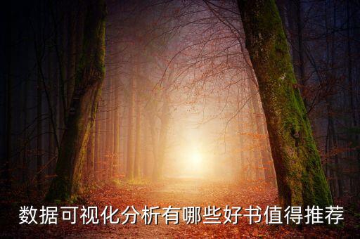  數(shù)據(jù)可視化分析有哪些好書值得推薦