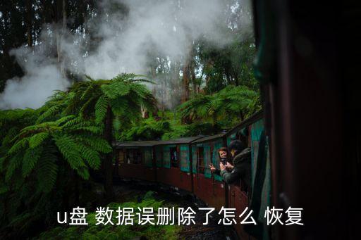u盤(pán) 數(shù)據(jù)誤刪除了怎么 恢復(fù)
