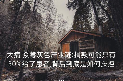 大病 眾籌灰色產(chǎn)業(yè)鏈:捐款可能只有30%給了患者,背后到底是如何操控...