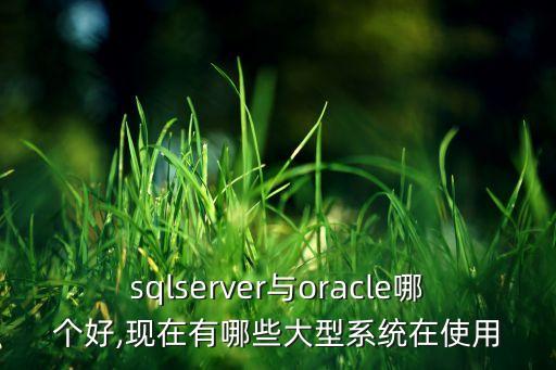 sqlserver與oracle哪個(gè)好,現(xiàn)在有哪些大型系統(tǒng)在使用
