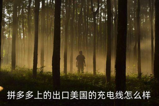 拼多多上的出口美國(guó)的充電線怎么樣
