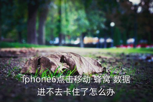 iphone6點(diǎn)擊移動(dòng) 蜂窩 數(shù)據(jù)進(jìn)不去卡住了怎么辦
