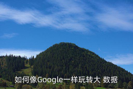 如何像Google一樣玩轉(zhuǎn)大 數(shù)據(jù)