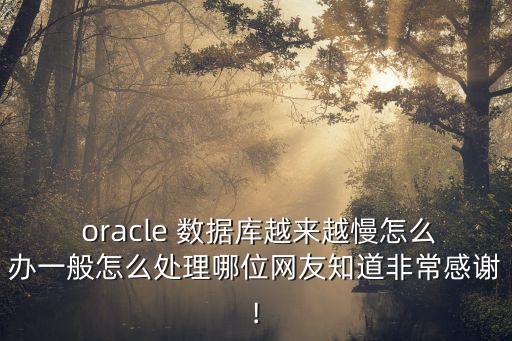  oracle 數(shù)據(jù)庫越來越慢怎么辦一般怎么處理哪位網(wǎng)友知道非常感謝!