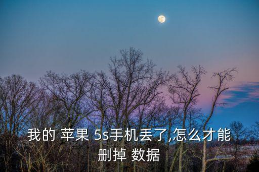 我的 蘋果 5s手機(jī)丟了,怎么才能刪掉 數(shù)據(jù)
