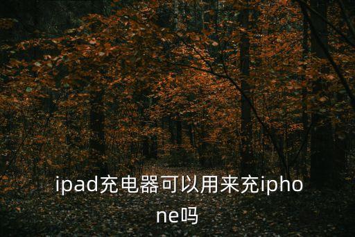 ipad數(shù)據(jù)線蘋果6能充嗎,蘋果不是原裝數(shù)據(jù)線充不進(jìn)電怎么辦