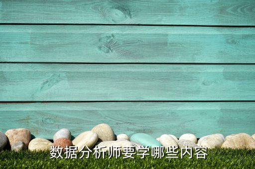  數(shù)據(jù)分析師要學(xué)哪些內(nèi)容