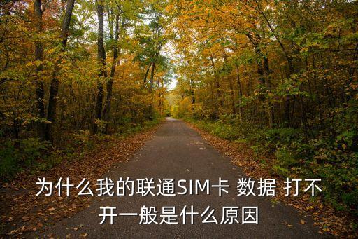 手機卡打不開數(shù)據(jù)連接,為什么手機卡開了數(shù)據(jù)不能用