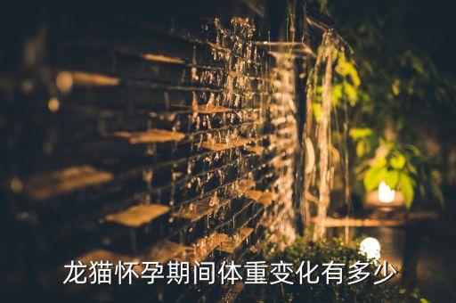 龍貓懷孕期間體重變化有多少