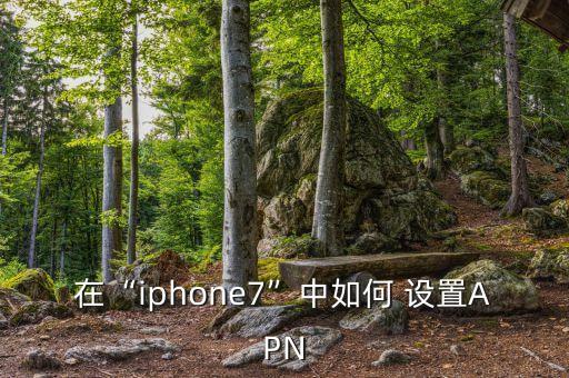 在“iphone7”中如何 設(shè)置APN