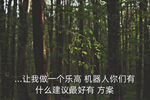 制作機(jī)器人方案,小學(xué)生自己制作機(jī)器人