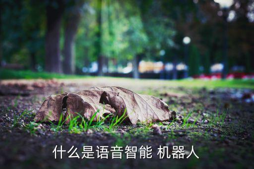什么是語(yǔ)音智能 機(jī)器人