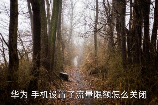 手機(jī)數(shù)據(jù)限制怎么解除,手機(jī)受限制怎么解除