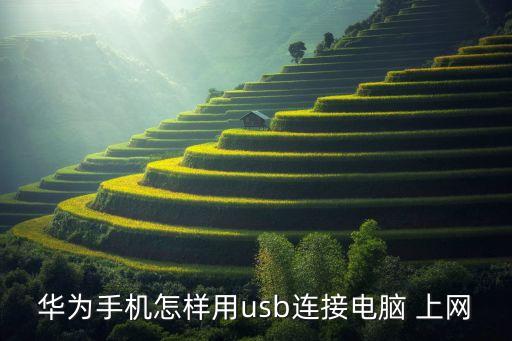 華為手機怎樣用usb連接電腦 上網(wǎng)