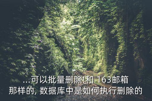 ...可以批量刪除!和 163郵箱那樣的, 數(shù)據(jù)庫(kù)中是如何執(zhí)行刪除的