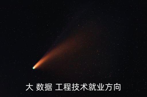 大數(shù)據(jù)工程專業(yè)干什么