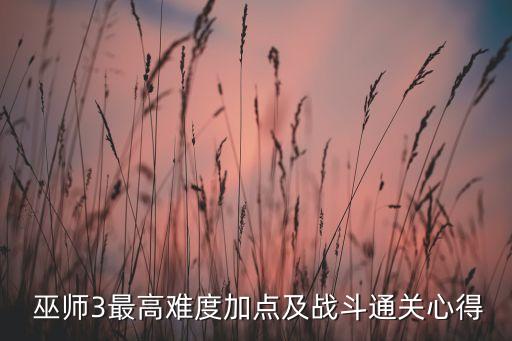  巫師3最高難度加點(diǎn)及戰(zhàn)斗通關(guān)心得