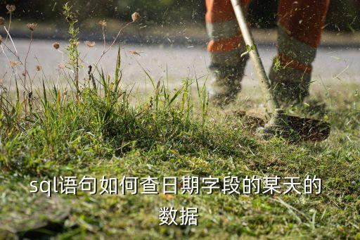 sql語句如何查日期字段的某天的 數(shù)據(jù)
