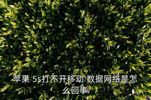 蘋果 5s打不開移動 數(shù)據(jù)網(wǎng)絡(luò)是怎么回事