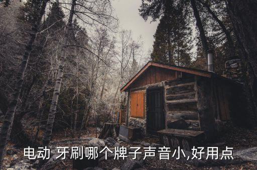 電動 牙刷哪個牌子聲音小,好用點