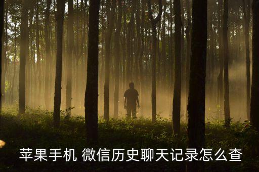  蘋果手機 微信歷史聊天記錄怎么查